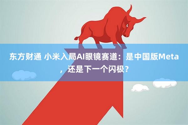 东方财通 小米入局AI眼镜赛道：是中国版Meta，还是下一个闪极？