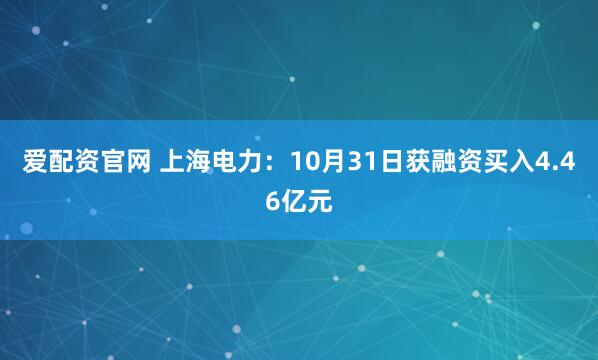 爱配资官网 上海电力:10月31日获融资买入4.46亿元