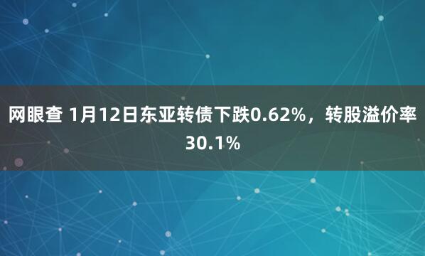 网眼查 1月12日东亚转债下跌0.62%，转股溢价率30.1%