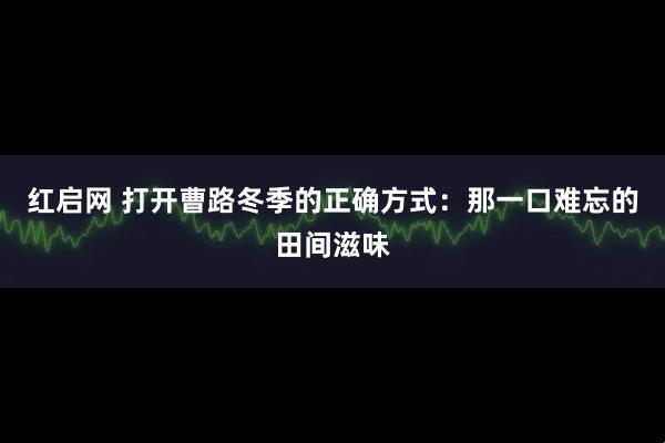 红启网 打开曹路冬季的正确方式：那一口难忘的田间滋味